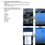 Zrzut ekranu 2025-02-20 114747